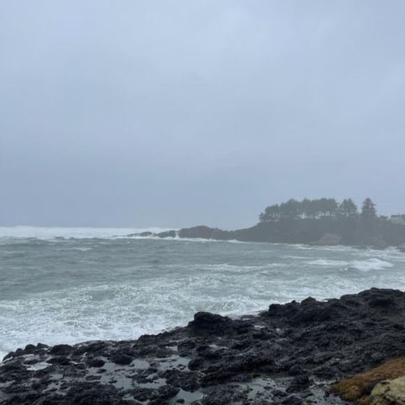 Meet your Posher, Luzmy - Picture 1 of 1